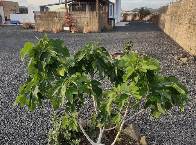 Granitas Tatil Evi *